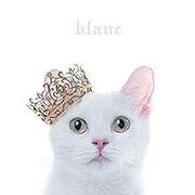 Best Selection (Blanc)