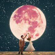 Ordinary (Wedding Version)