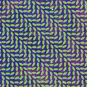 Merriweather Post Pavilion