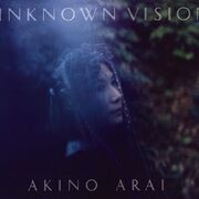 Unknown Vision