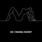 Do I Wanna Know? [Single]