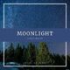 Moonlight (Single Version)