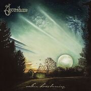 Welkin Shores Burning