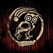 Words Are Not What They Seem