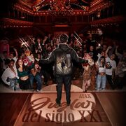 Juglar Del Siglo XXI