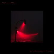 Waiting for Morning to Come