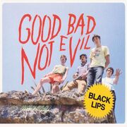 Good Bad Not Evil