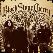 Black Stone Cherry