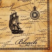 Bleach