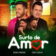 Surto de Amor (Ao Vivo)