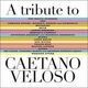 A Tribute To Caetano Veloso