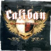 The Opposite From Within