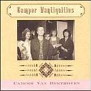Camper Van Beethoven