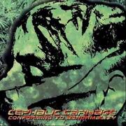 Conforming to Abnormality