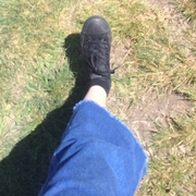 ​brains a bus station