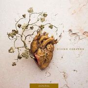 Divivo Corazón