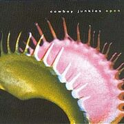 Rarities, B Sides and Slow, Sad Waltzes