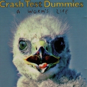 A Worm’s Life