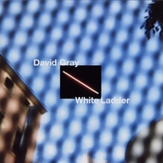 White Ladder
