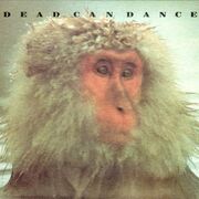 The Host Of Seraphim