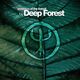 Essence Of The Forest By Deep Forest