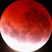 13LOOD 1N + 13LOOD OUT