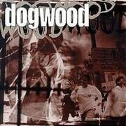 More Than Conquerors