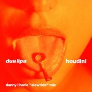 Houdini (Danny L Harle Slowride Mix)