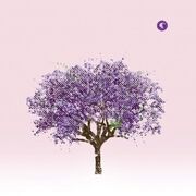 With Strings: Live at Town Hall