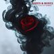 Ashes & Roses: A Love Left Burning