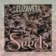 Seeds (ft Ben Cassorla)