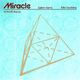 Miracle (ft Calvin Harris)