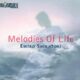 Melodies Of Life (japanese Version) Final Fantasy Ix