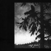 Where at Night the Wood Grouse Plays