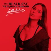 The Black Cat Neighbourhood