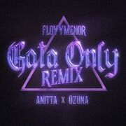 Gata Only (remix)