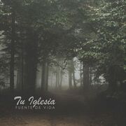 Tu Iglesia - EP