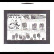 The Troubled Troubadour