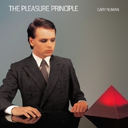 The Pleasure Principle