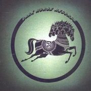 The Dark Horse Years