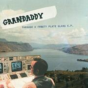 Through a Frosty Plate Glass