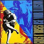 Use Your Illusion (Compilation)