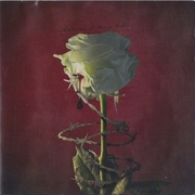 Whatever It May Take