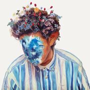 The Fall Of Hobo Johnson