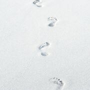 Barefoot Lighty Print: It's About Time