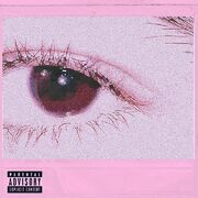 VISIONS (Promotional Alternative Pink)