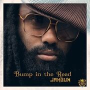 Bump In The Road