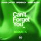 Can't Forget You (ft James Carter & Ofenbach)