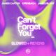 Can't Forget You (Slowed + Reverb)