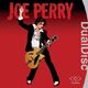 Joe Perry - DualDisc